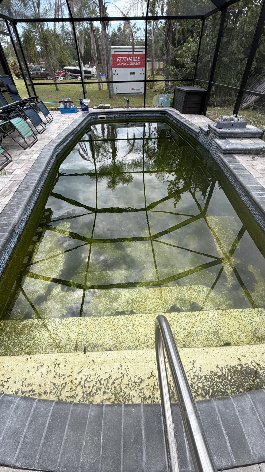 Green pool before treatment